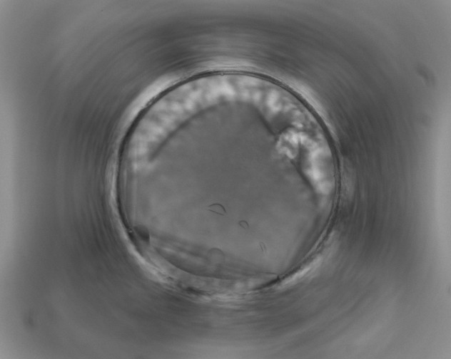 X0000113181245200910021537