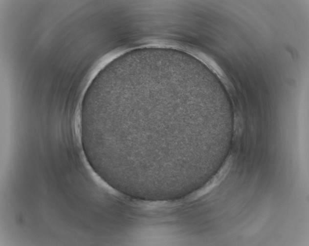 X0000113181247200910021537