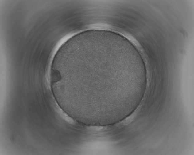 X0000113181248200910021537