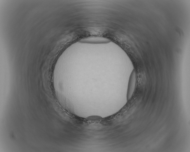 X0000113181249200910021536