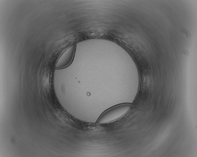 X0000113181250200910021536