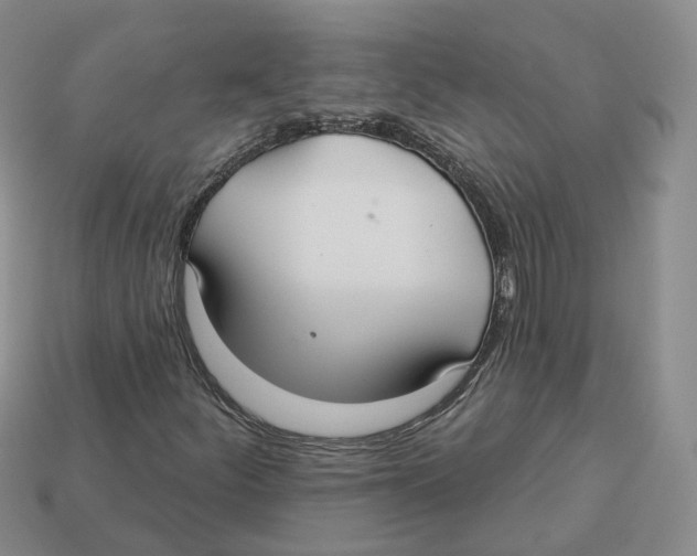 X0000113181252200910021536