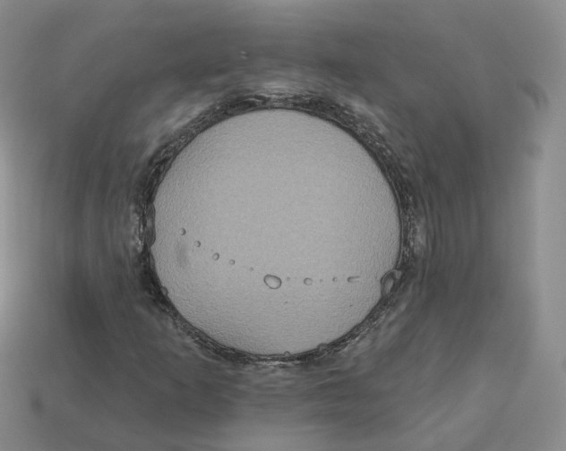 X0000113181253200910021536