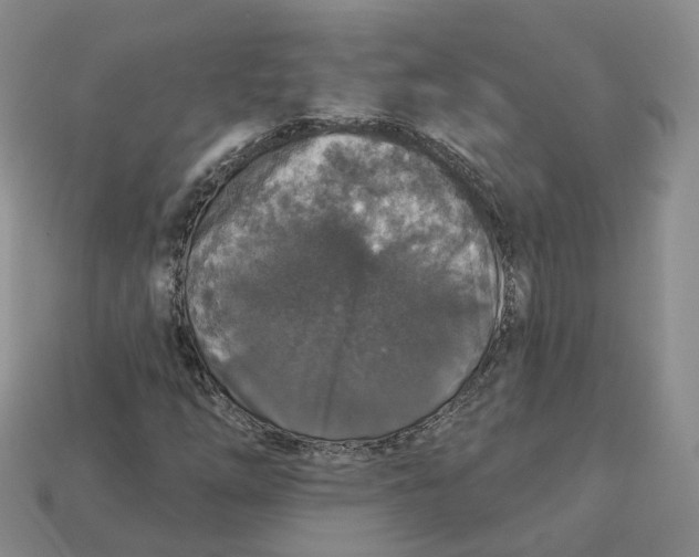 X0000113181254200910021536