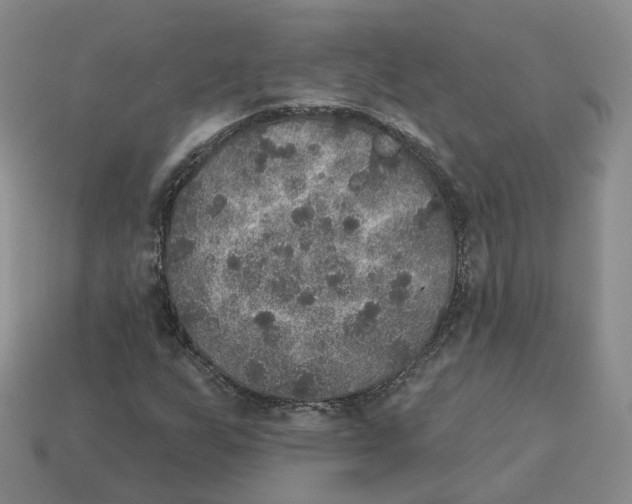 X0000113181255200910021536