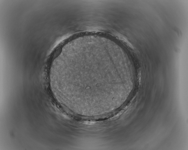 X0000113181256200910021536