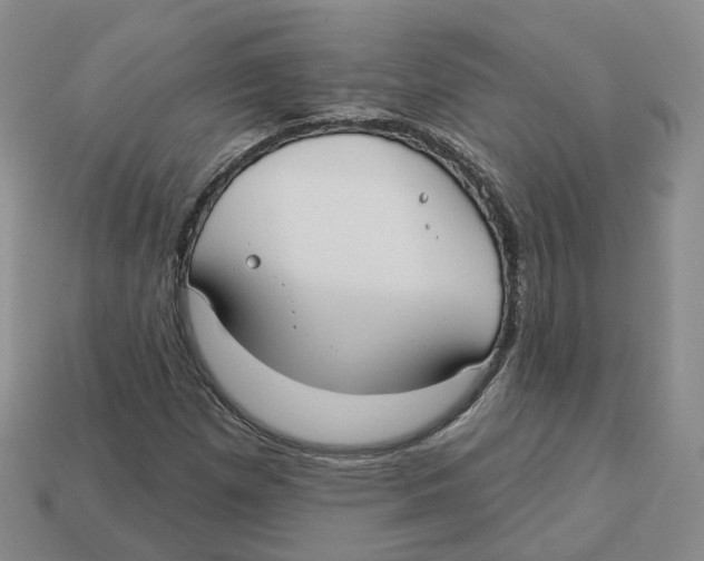 X0000113181257200910021536