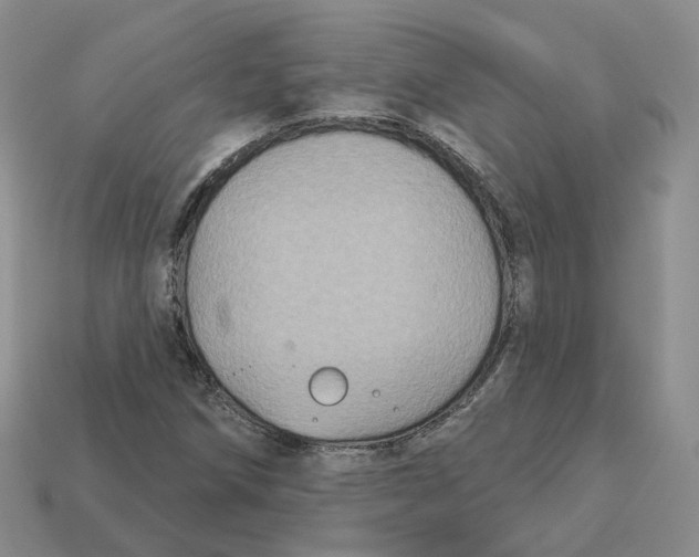X0000113181258200910021536