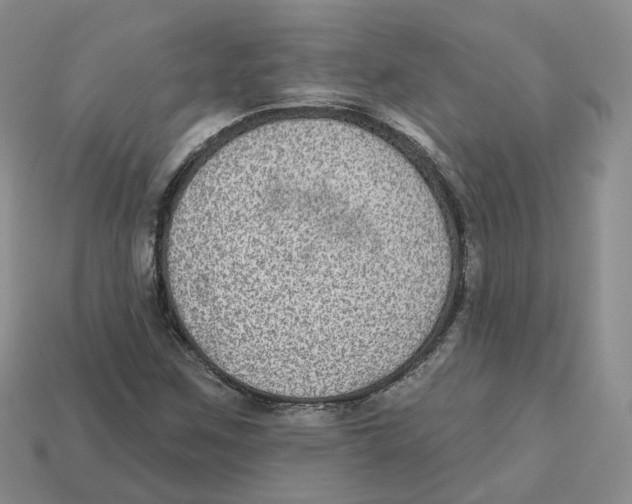 X0000113181259200910021536