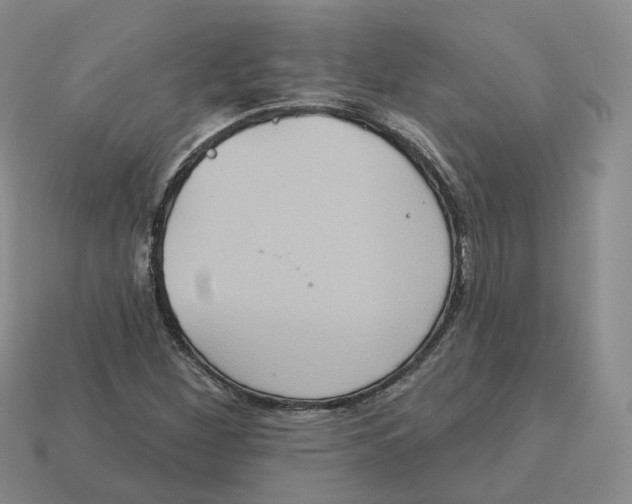 X0000113181260200910021536