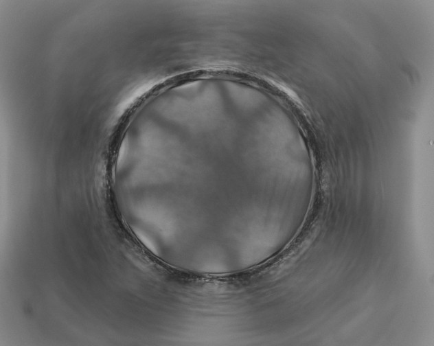 X0000113181263200910021536