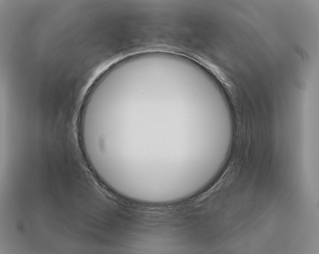 X0000113181264200910021536