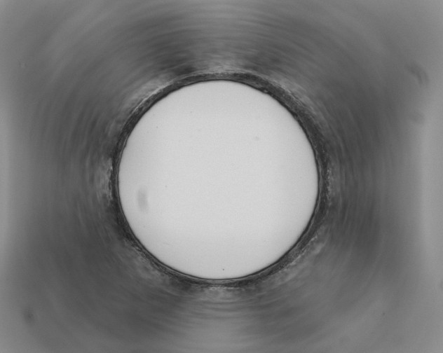 X0000113181265200910021536