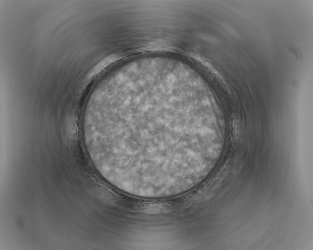 X0000113181266200910021536