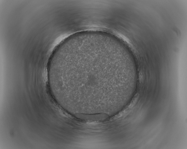 X0000113181267200910021536