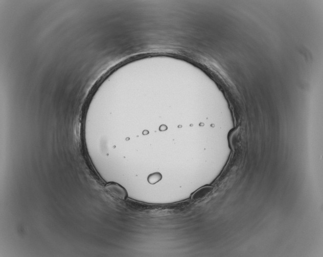 X0000113181268200910021536