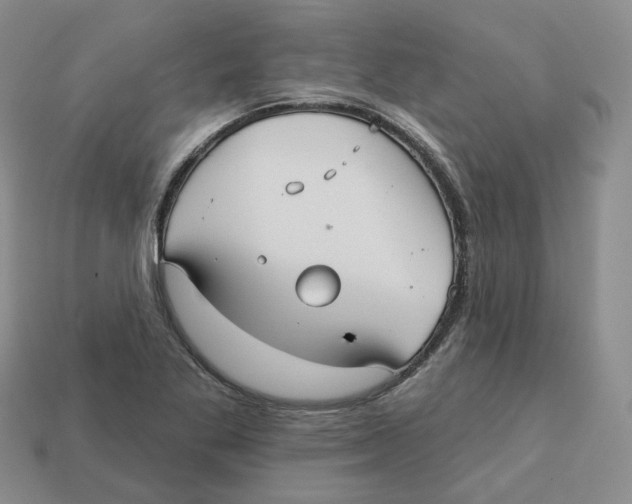 X0000113181269200910021536