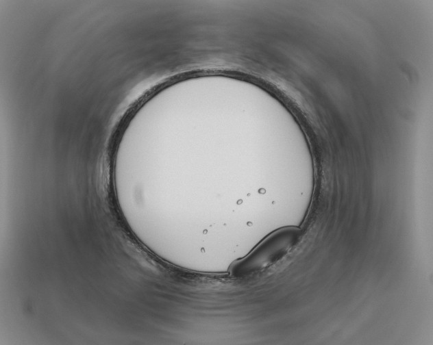 X0000113181270200910021536