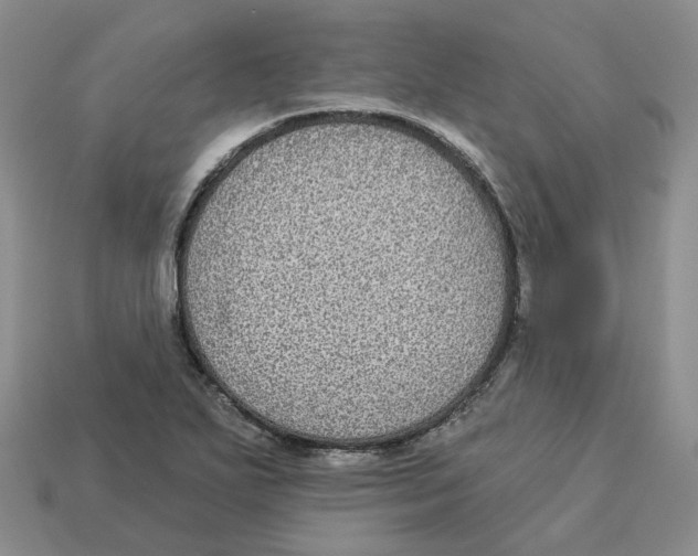 X0000113181271200910021535