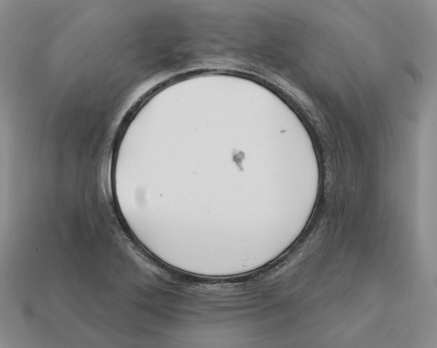 X0000113181272200910021535