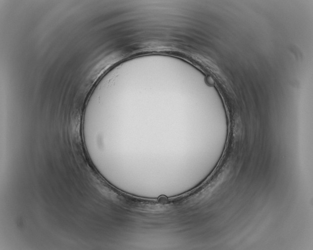 X0000113181273200910021535