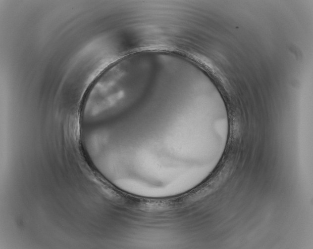 X0000113181274200910021535