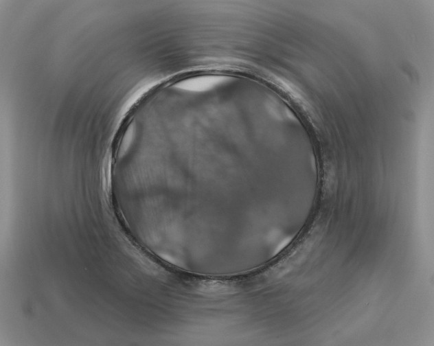 X0000113181275200910021535