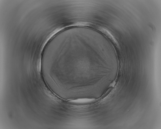 X0000113181276200910021535