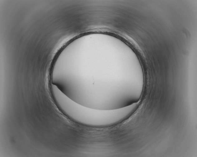 X0000113181277200910021535