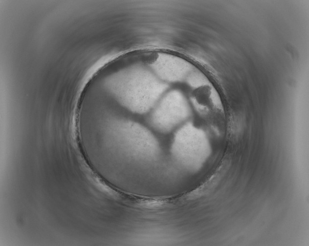 X0000113181278200910021535