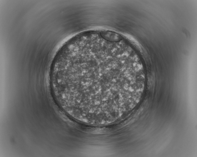 X0000113181279200910021535