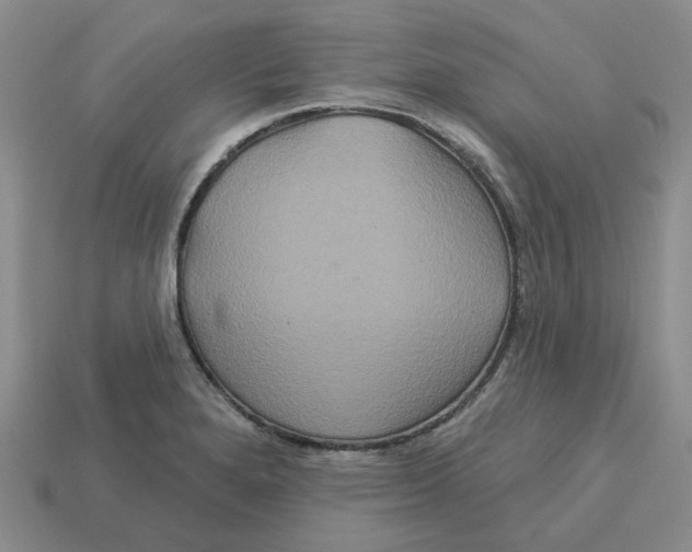 X0000113181280200910021535