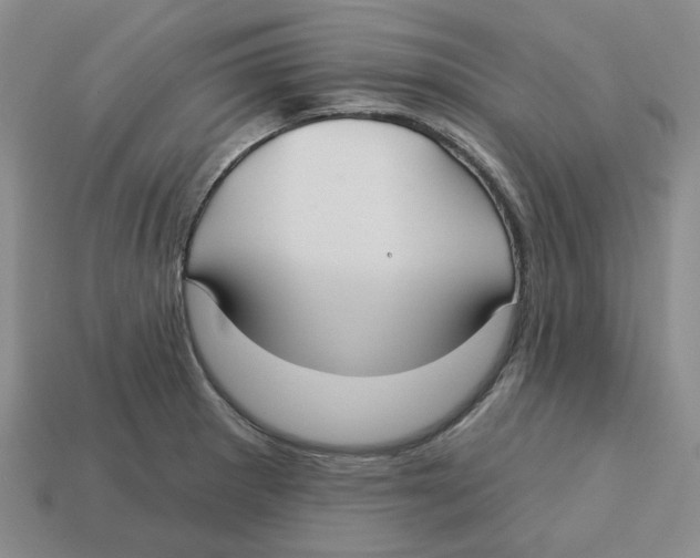 X0000113181281200910021535