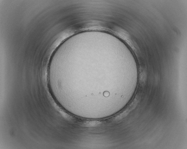 X0000113181282200910021535