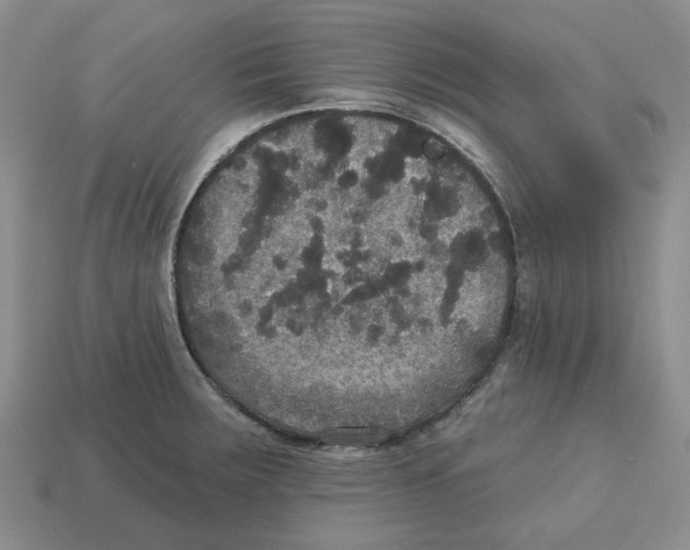 X0000113181283200910021535