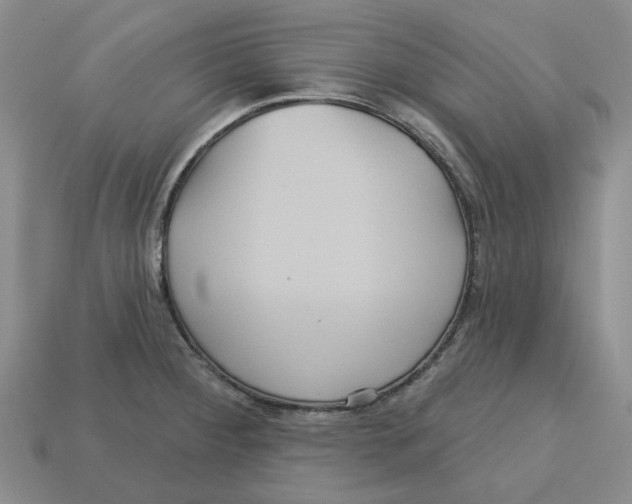 X0000113181284200910021535