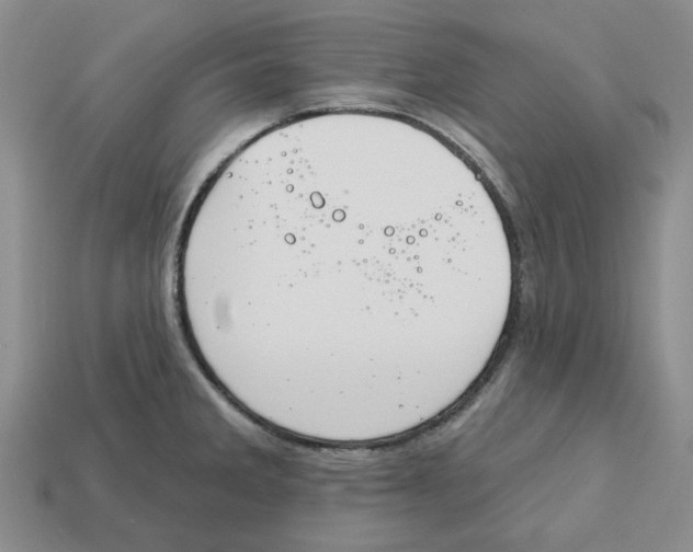 X0000113181285200910021535