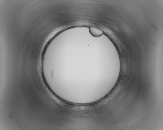 X0000113181286200910021535