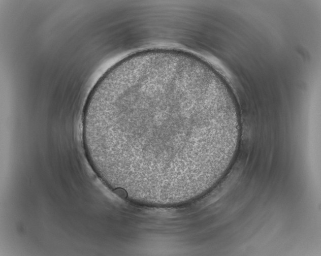 X0000113181287200910021535