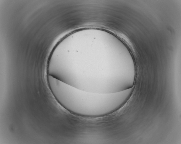 X0000113181288200910021535