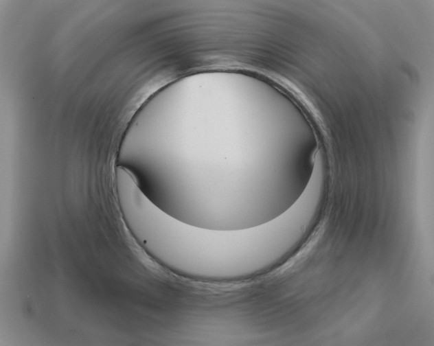 X0000113181289200910021535