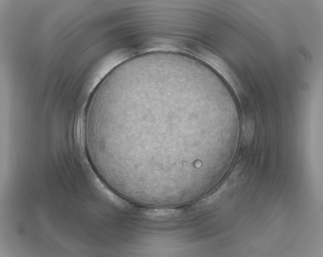 X0000113181290200910021535