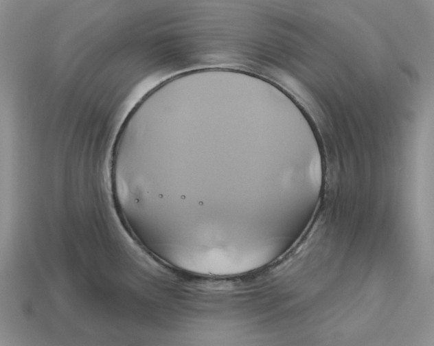 X0000113181291200910021535