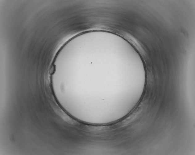 X0000113181292200910021535