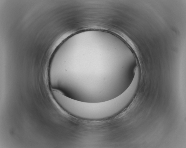 X0000113181293200910021535