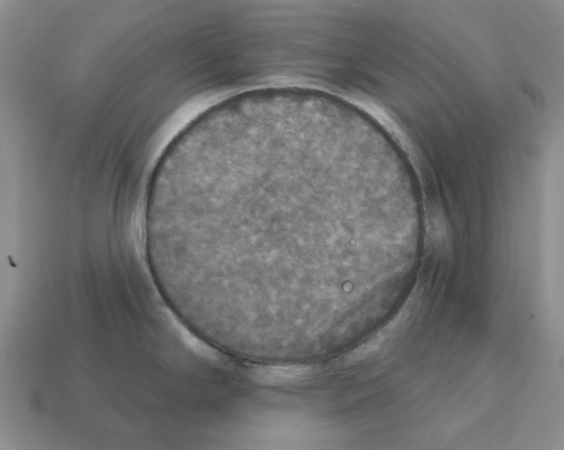X0000113181294200910021535