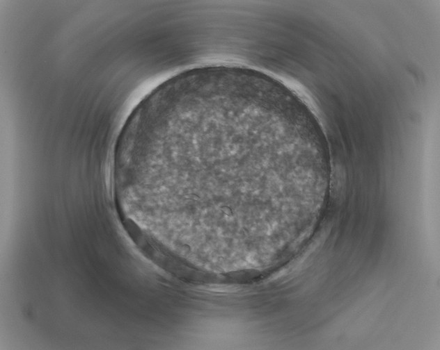 X0000113181295200910021535