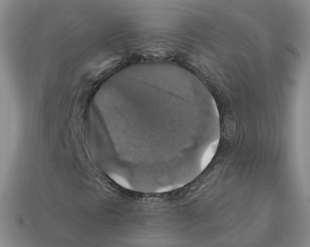 X0000113181297200910021535