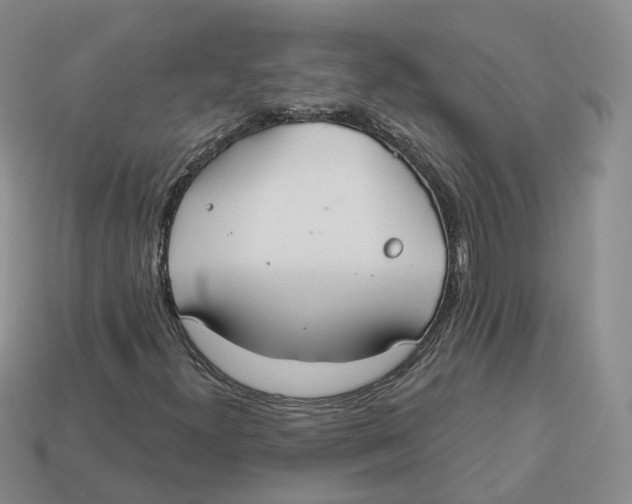 X0000113181300200910021535