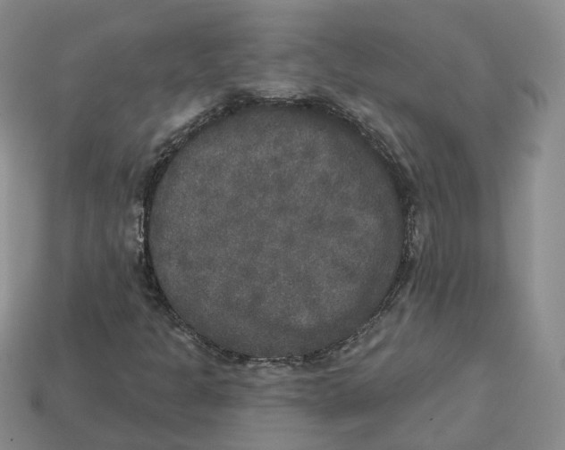 X0000113181301200910021535